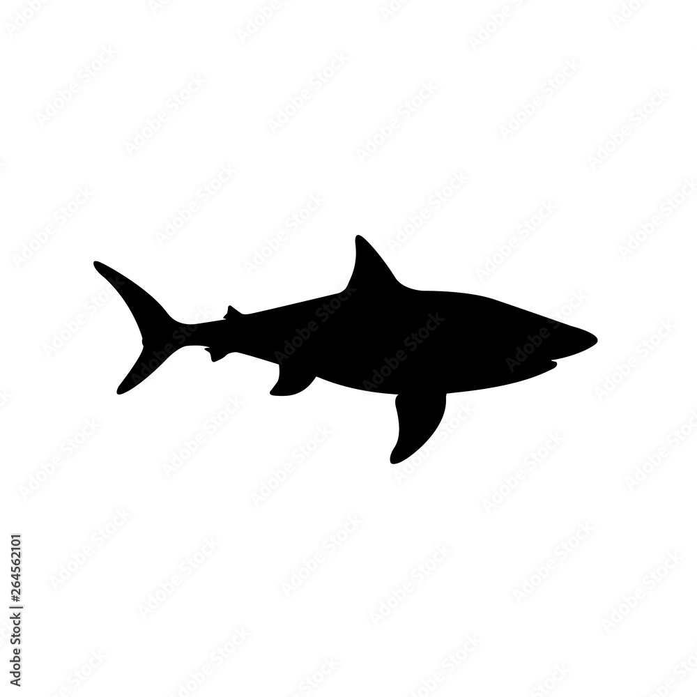 Shark icon, logo isolated on white Shark icon, logo isolated on white
