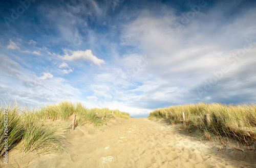 sand path on dune from beach and blue sky