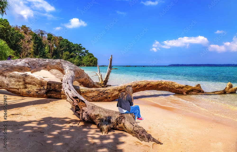 Young girl tourist sitting on a fallen tree trunk at the scenic sea beach at the Jolly Buoy island at Andaman, India