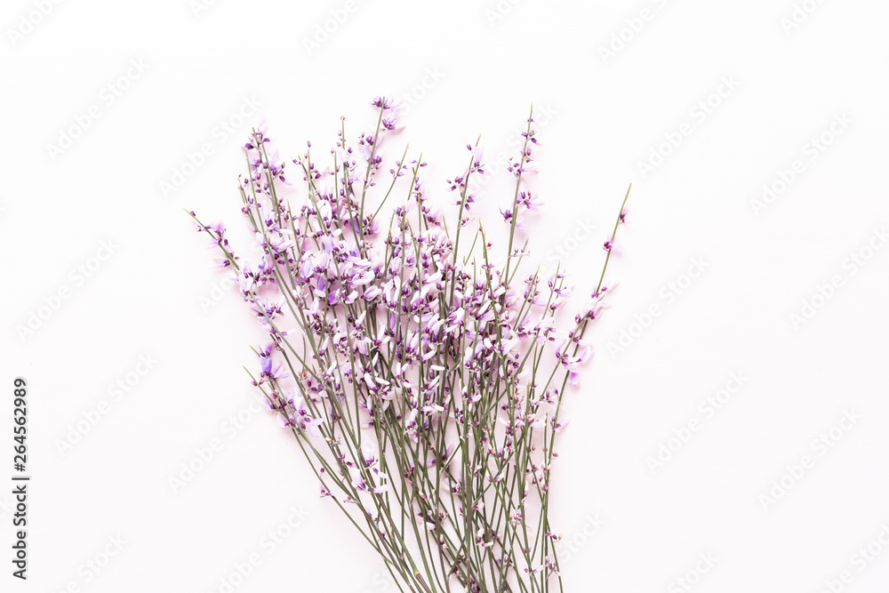 Naklejka premium Flowers composition. Pink flowers on pink background. Easter, spring concept. Greeting card.