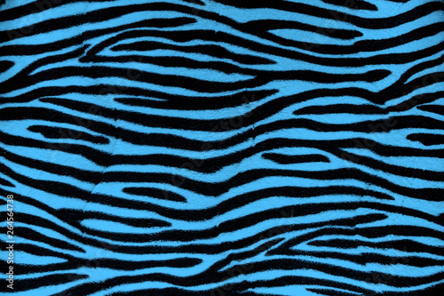 Blue zebra fur background texture