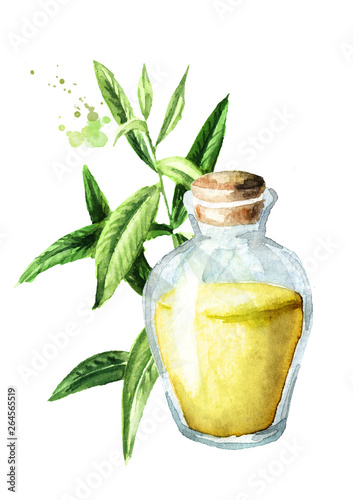 Lemon verbena essential oil. Watercolor hand drawn illustration isolated on white background photo