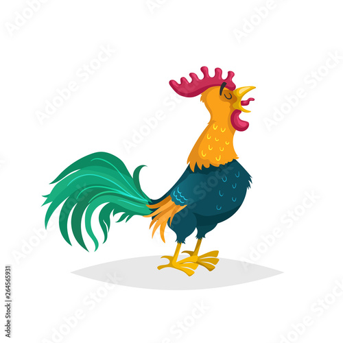 Cute cartoon crowing rooster. Farm animal. Good for education and kids design. Vector bird illustration isolated on white background.