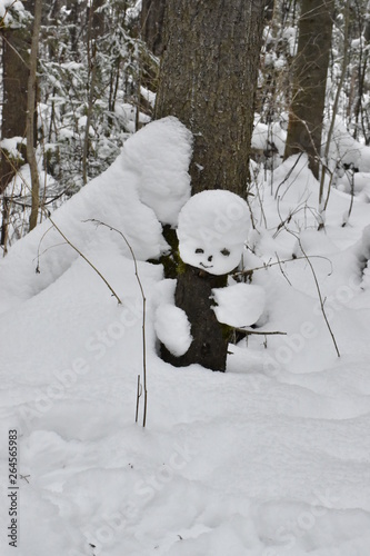 beautiful creation of nature