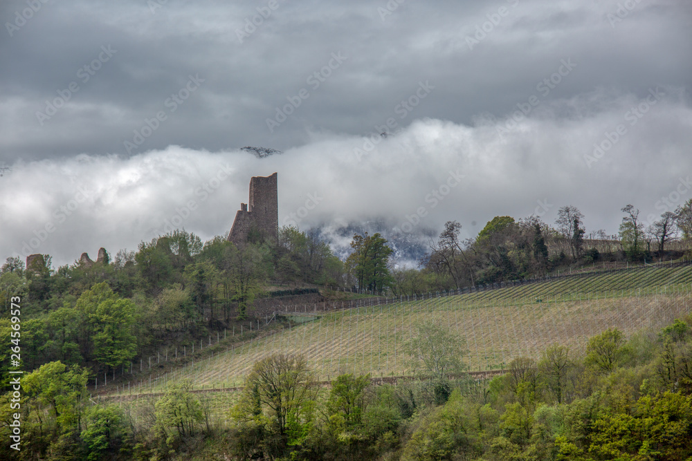 Fototapeta premium Die Alpen