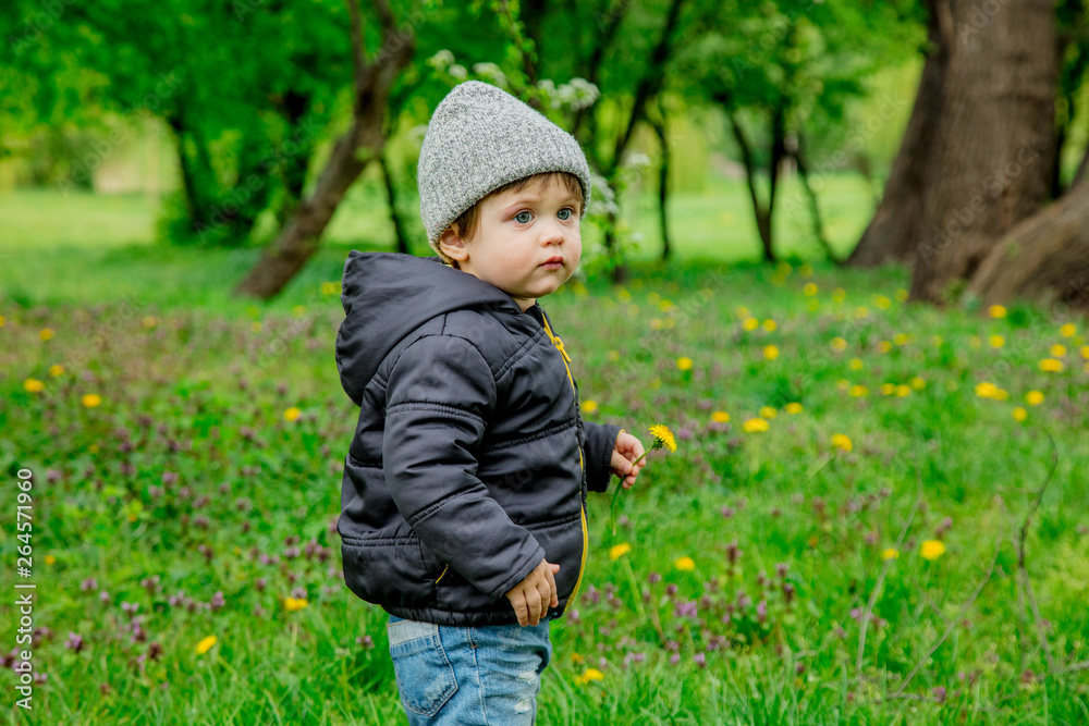 Little toddler boy in jacket and hat in spring time park