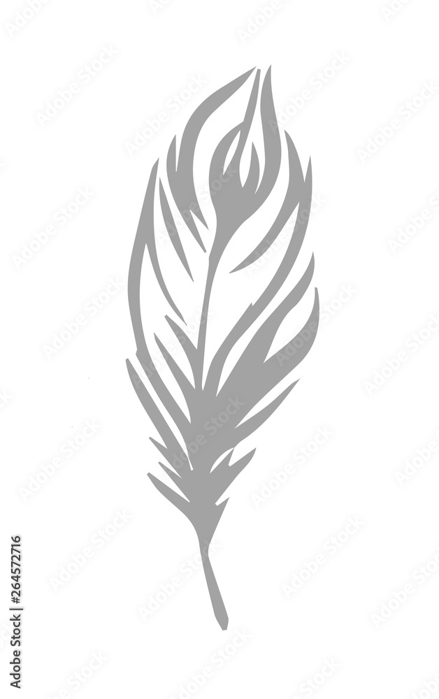 Obraz premium Plumage on white background. Vector isolated plume. Feather contour. For logo, icon, sign, emblem, fabric and clothes design, wallpaper, scrapbooking, stamp, cliche, bed linen, wrapping paper.