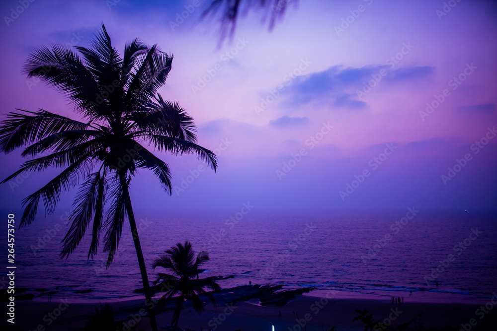 Pink and blue sunset at the beach with coconut tree on a hill.