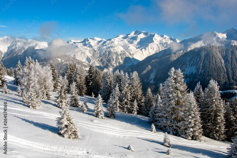 Courchevel 1850 3 Valleys French Alps France