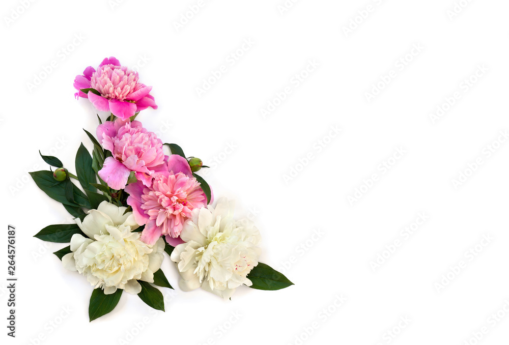 Bouquet of pink and white peonies on a white background with space for text. Top view, flat lay