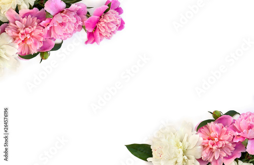 Frame of pink and white peonies on a white background with space for text. Top view, flat lay