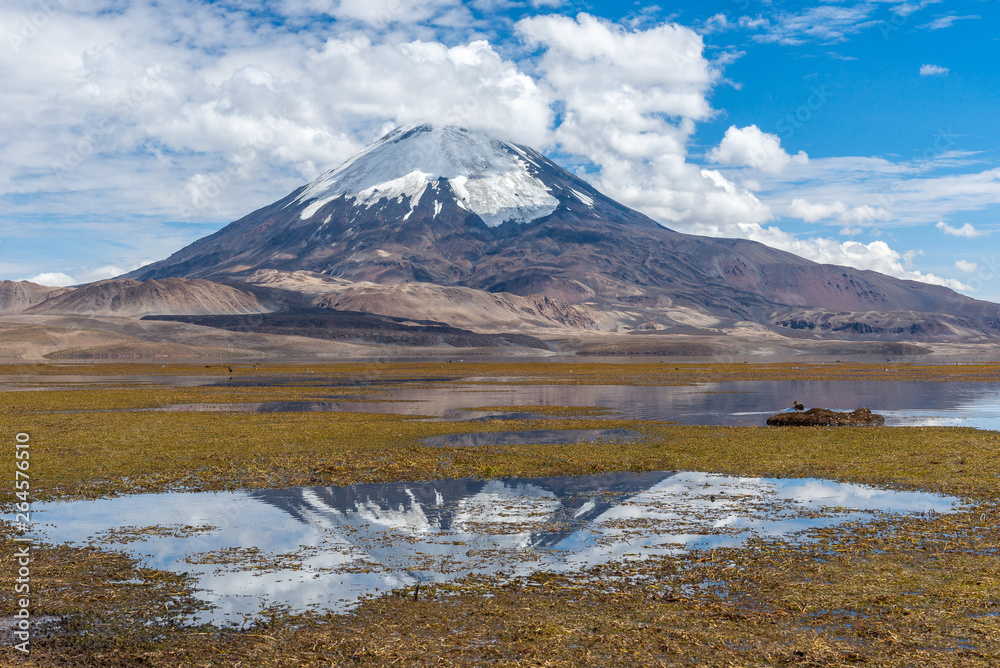 Parinacota volcano and Chungara lake, Lauca National Park, Chile Parinacota volcano and Chungara lake, Lauca National Park, Chile