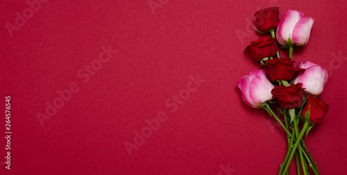 Roses on red background isolated. Top view and mock up. Mother and valentine day. Women holidays . Wallpaper and romantic concept. Flower rose bouquet . Flowers birthday gift. Banner