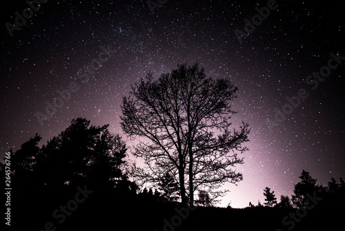 Tree Against The Milky Way