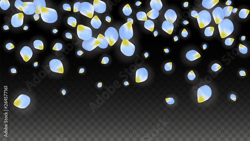 Vector Realistic Blue Petals Falling on Transparent Background.  Spring Romantic Flowers Illustration. Flying Petals. Sakura Spa Design. Blossom Confetti.