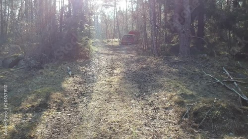 Flying to and from an abandon car between the trees in the forest. Maybe little spooky too. Vallentuna Sweden photo