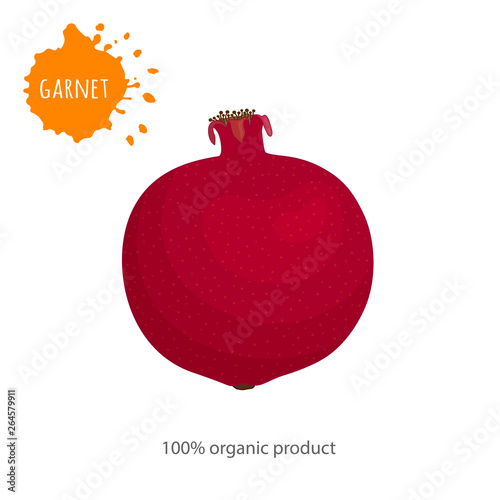 Whole pomegranate fruit on a white background. Vector garnet in cartoon style. Banner on the topic of food and health.