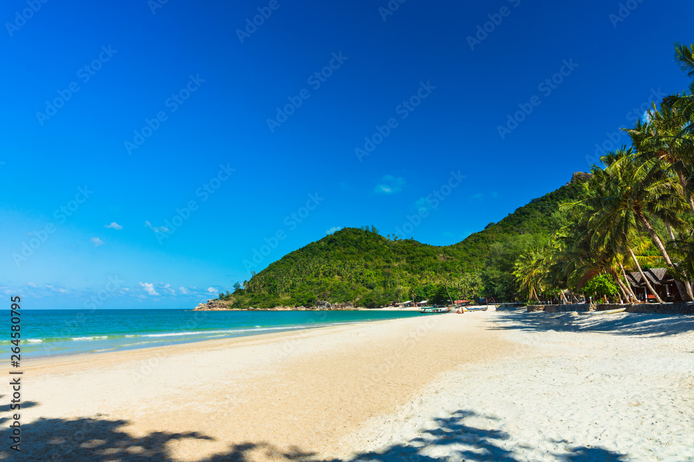 View of nice tropical beach with palm tree. Holiday and vacation concept.