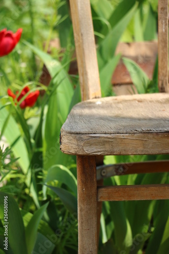  spring attributes of antique furniture in blooming greenery