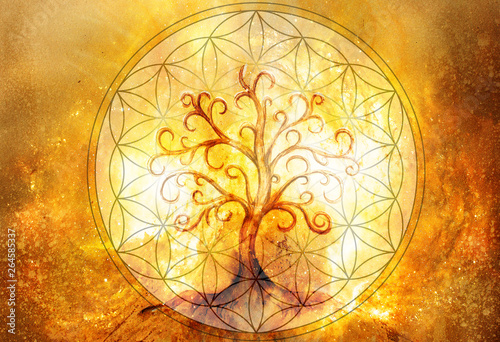 tree of life symbol and flower of life and space background, yggdrasil.