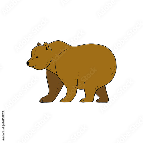 Bear. Hand drawn picture of a big brown bear  simple illustration isolated on white background for your design