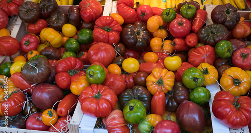 Tomatoes on sale in Paris street market © timsimages.uk