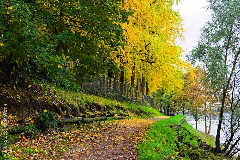 Pedestrian path and cycle path along the river Po, in autumn, Turin, Piedmont, Italy Pedestrian path and cycle path along the river Po, in autumn, Turin, Piedmont, Italy