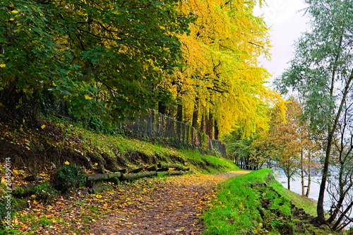 Pedestrian path and cycle path along the river Po, in autumn, Turin, Piedmont, Italy