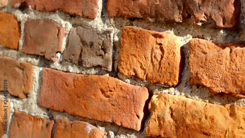 Rectangular grid patterns of red brick wall, with leaves shadows falling over them, moving shot Rectangular grid patterns of red brick wall, with leaves shadows falling over them, moving shot