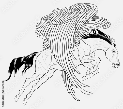 The winged stallion soars into the sky with a powerful jump, craned its neck forward. Linear illustration of a volant Pegasus. Vector clip art and design element for magic and mythological goods.