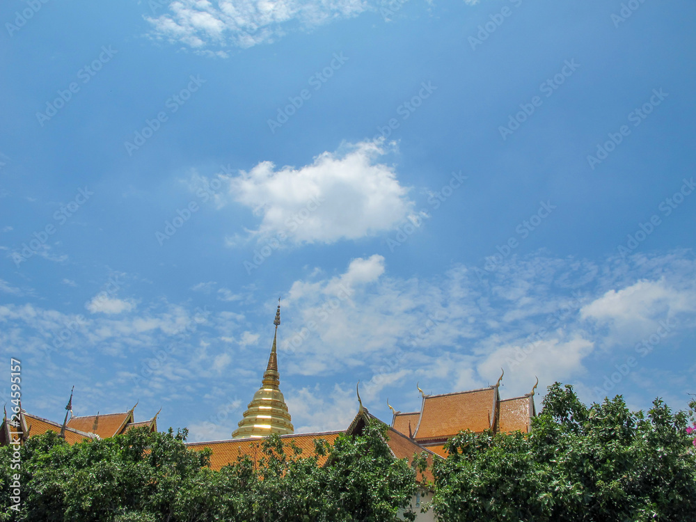 The pagoda of Doi Suthep lies behind the tree and the sky is bright