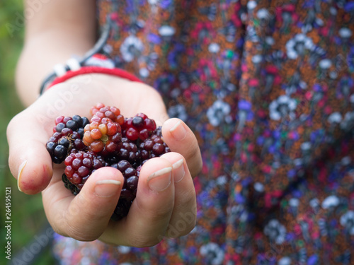 Картината върху платно Child holding handful of blackberries