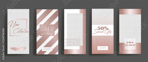 Instagram stories frame templates. Vector background. Mockup for social media banner. rose gold layout design.