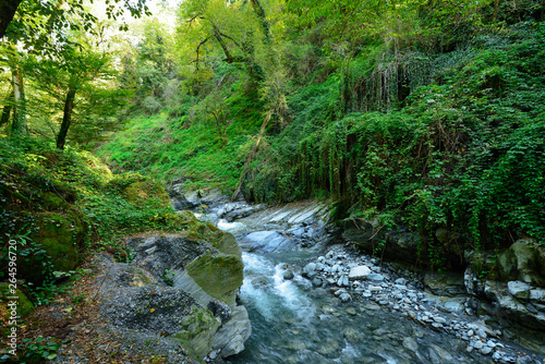 Beautiful natural places in Georgia, Lagodekhi