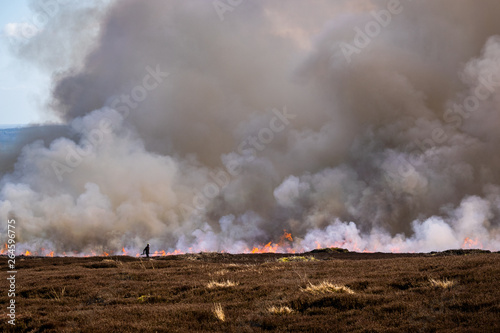 Burning the moors, Beamsley. Yorkshire