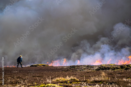 Photos Burning the moors, Beamsley. Yorkshire