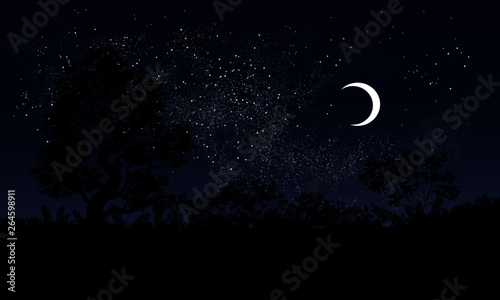 Moon in the starry night sky