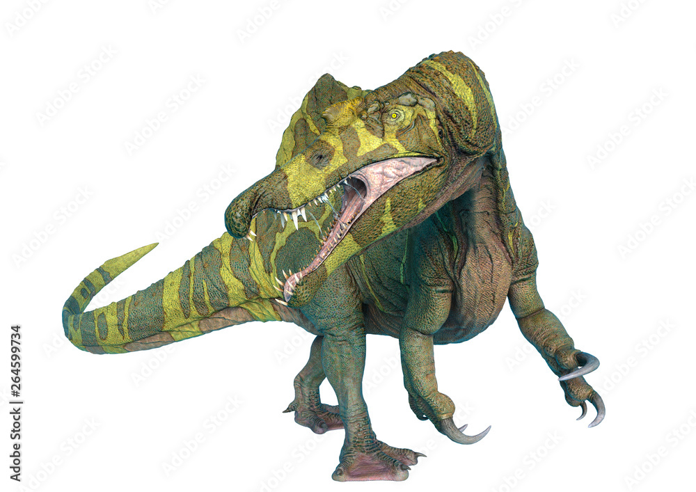 Fototapeta premium spinosaurus in white background and no shadows