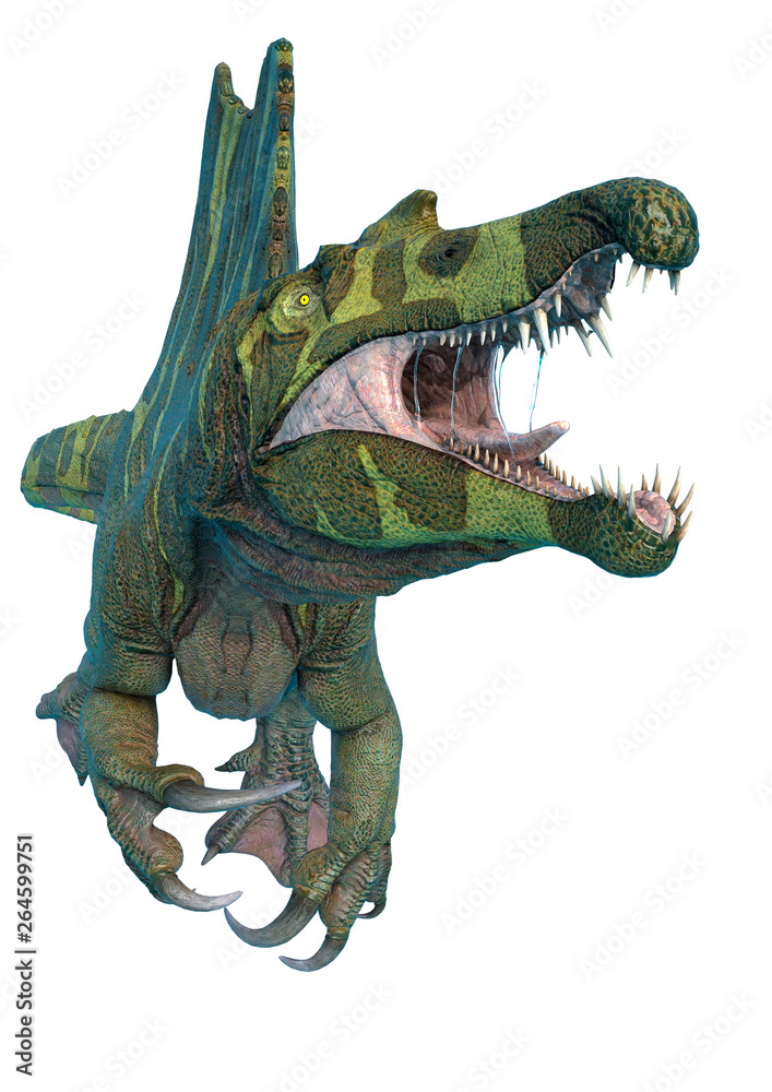 Fototapeta premium spinosaurus in white background and no shadows