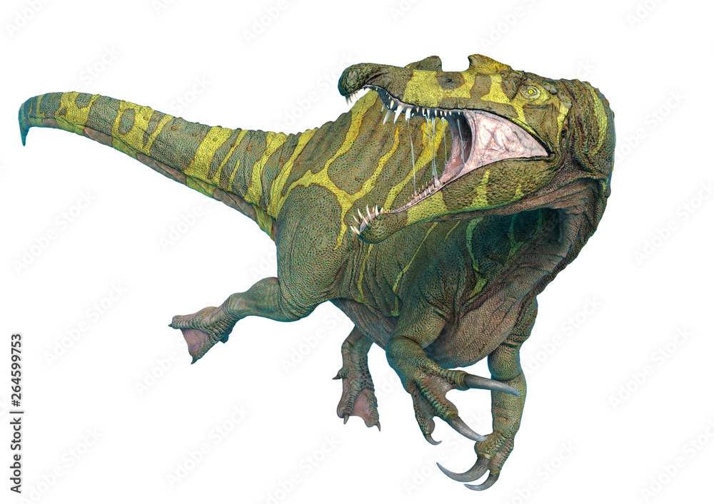 Fototapeta premium spinosaurus in white background and no shadows