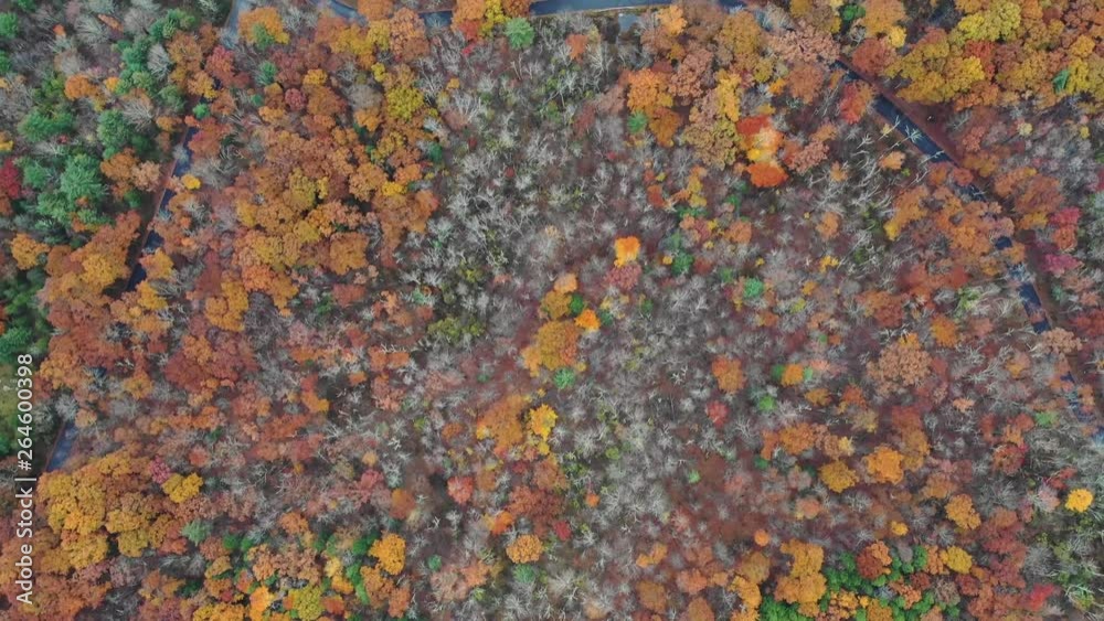 Upstate Fall Colors Upstate Fall Colors