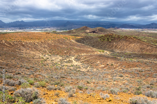 Landscape of Canary islands with mountains and endemic plants, Tenerife, Canary islands, Spain - Image