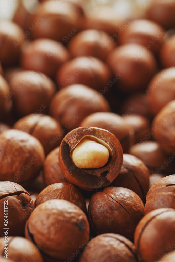 Texture of organic macadamia nut fresh natural fruit shelled one nut - vintage filter Texture of organic macadamia nut fresh natural fruit shelled one nut - vintage filter