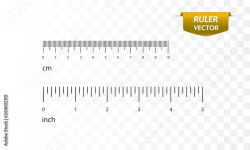 Rulers set, inches and centimeters. Vector 