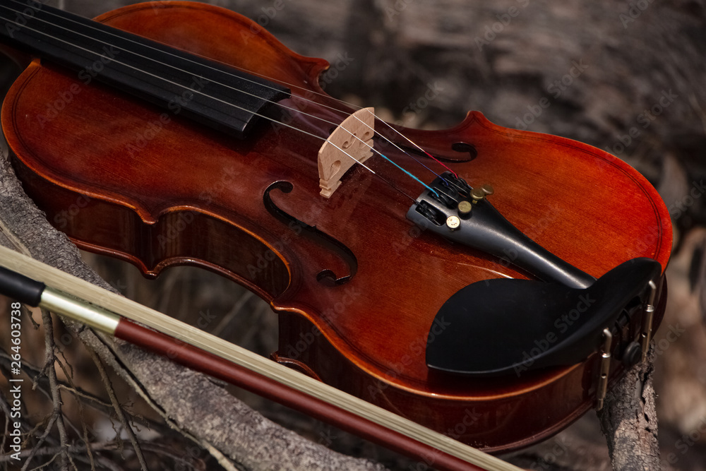 The wooden violin and bow put on wooden timber board,blurry light around The wooden violin and bow put on wooden timber board,blurry light around
