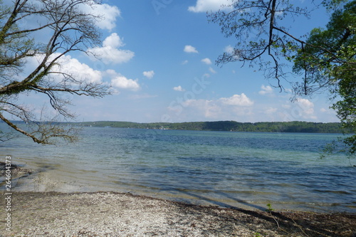 Fototapeta Naklejka Na Ścianę i Meble -  Seeufer mit kahlen und grünen Bäumen am Starnberger See