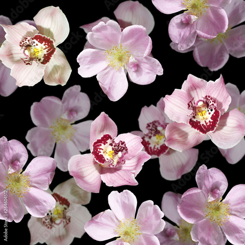 Beautiful floral background of rosehips and orchids. Isolated 
