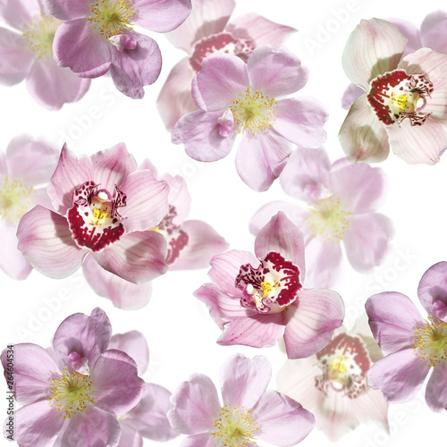 Beautiful floral background of rosehips and orchids. Isolated 