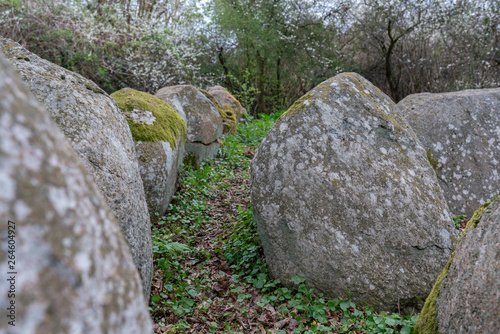 Megalithanlage Grossteingrab Lütow auf Usedom