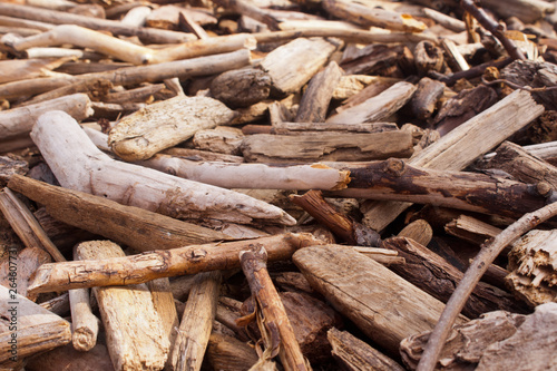 Many pieces of dried driftwood close up